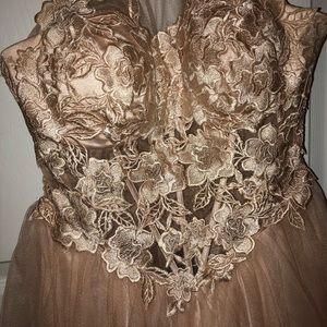 Champagne Size 4 Dave and Johnny Tulle Prom Dress